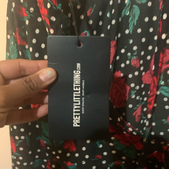 Backless Too - Picture 3 of 3